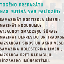 Вафли с матча