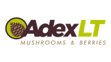 UAB ADEX LT