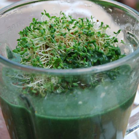 Žalias kokteilis su spirulina