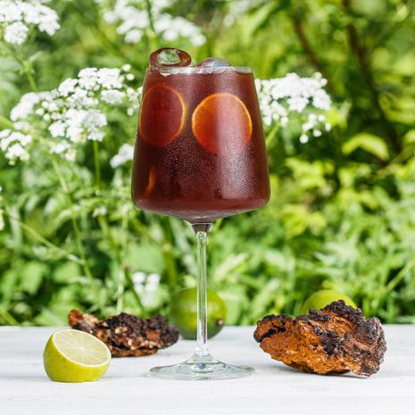 Nealkoholinis kokteilis CHAGA BLACK'N BERRY