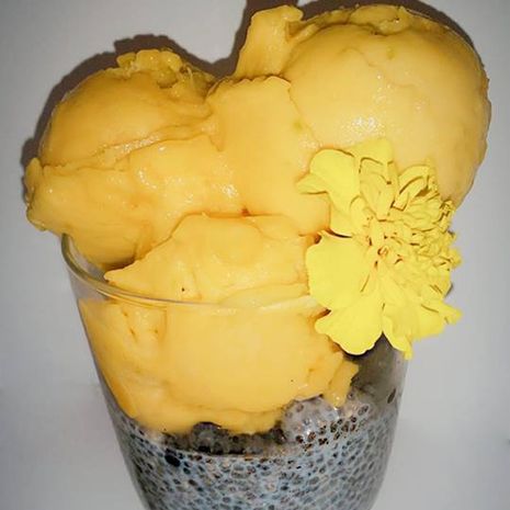 Čia pudiņš ar mellenēm un mango saldējumu