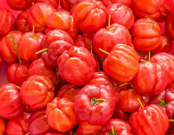 Populiarioji acerola – kas ji? l Guoda Azguridienė