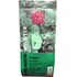Juodoji arbata „Yunnan Pu Erh Premium“, biri, ekologiška